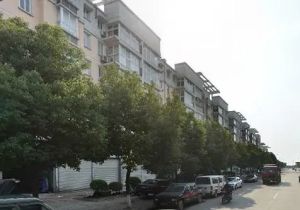 顶加阁楼,自住精装修保养好,带大露台