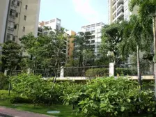 楼层好,小区环境优美,配套设施齐全,交通便利