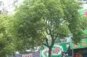 进贤仓印刷厂宿舍实景图