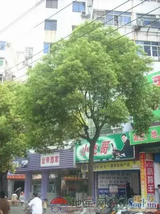 进贤仓印刷厂宿舍实景图