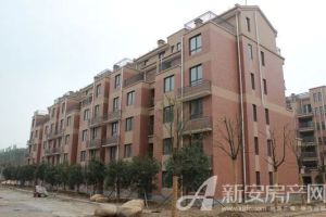 位置好 毛坯房利用空间大