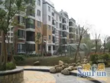 千禧同业 南北通透,采光好 周边匹套完善,,出行方便