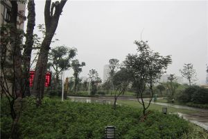 光明城市3室2厅南北