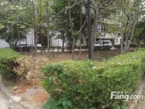 人民银行单位宿舍业主诚心出售太阳光线好