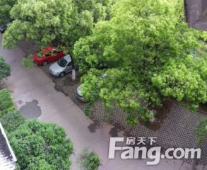 新建区一中宿舍2室2厅北南