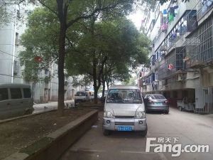 明星集团 南北通透,采光好 视野好,诚心出售
