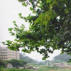 洛阳路130号南北通透,采光好近地铁视野好,诚心出售