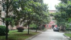 金星住宅小区南北通透,采光好装修好,环镜优美视野好,诚心出售