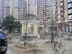 ��˳�ǽ�ͳ��¥