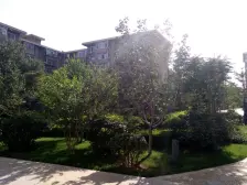 广武门 金色堤岸 两室两厅新高层 毛坯可按揭