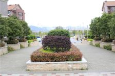拎包入住满五唯一,此房户型周正,楼层好,采光好