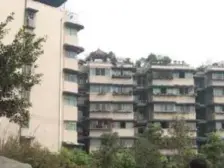 沙北街 2室1厅 东南