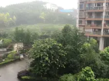 石坪桥 绿洲华府二房115万