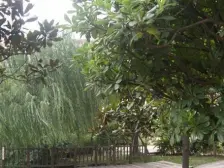 出行方便,正规一室一厅,户型方正