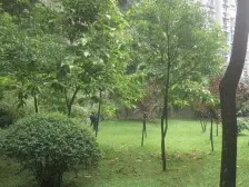 业主诚心出售,户型正,采光好,交通方便。