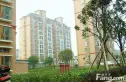 利加华庭实景图