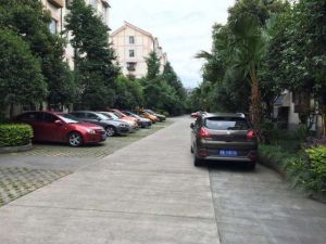 攀欣花园3室1厅东南