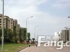 精装修一梯两户洋房带40平米花园-出门就是蔡家轻轨站