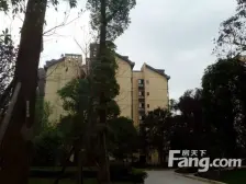 此房环境安逸,交通方便,适合居住,小区环境好