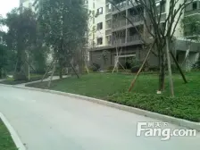 正隆红桂林 1室1厅 东南