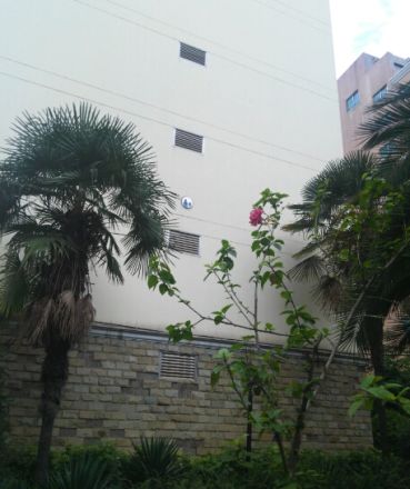 晋馨园实景图
