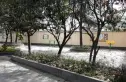 江北小区实景图
