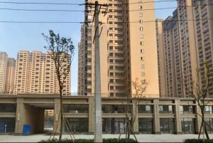 观园国际3室2厅东
