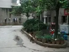 杨家山 3室1厅 南