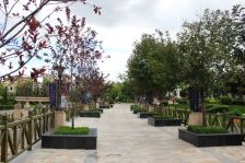 保利出品 必是精品 联排边户好装修好位置诚意出售