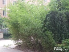 三环内,电梯小高层,双气三房,两梯两户