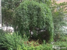 三环内地铁口 ,97平大两房 采光好 无遮挡