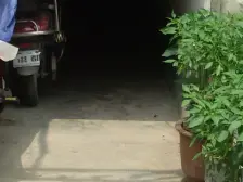 南阳路254号 2室1厅 东南