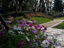 新上全明户型!熙悦山澜庭 双卫大三居 一梯一户 3.2米层高