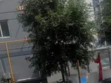 2018年次新纯南户型,楼层好,出门地铁口,交通便利