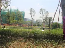 近金洲地铁 中楼层 毛坯 低总jia 诚意出