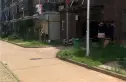 谷方实景图