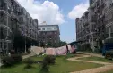 谷方实景图