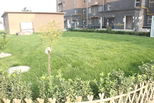  ���⡤���������� 2��1�� �� 