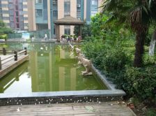 海基悦城国际,精装修两室两厅,随时看房