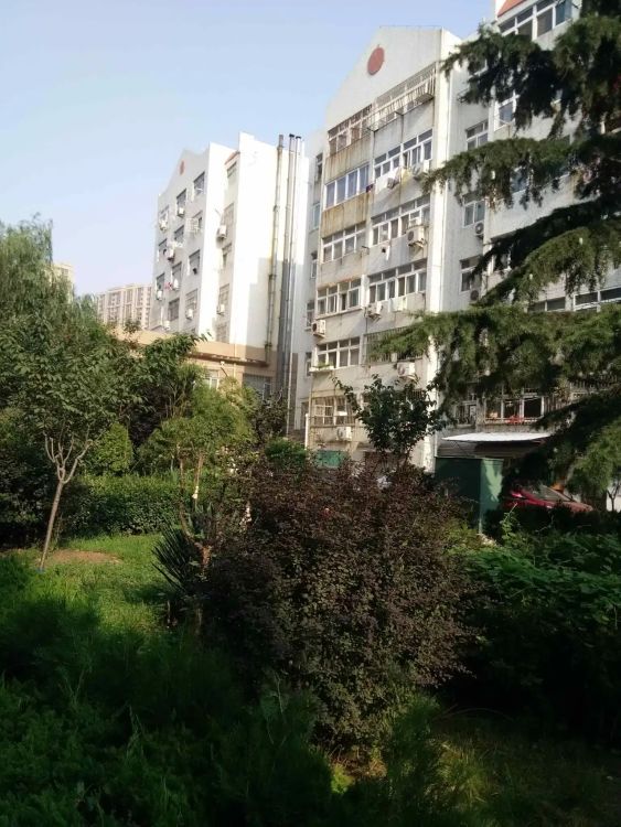 小区相关图