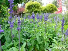 越秀11层小高 西打头 好楼层 不靠北京路 诚心出售