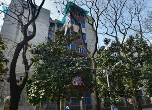 建设新村3室1厅南