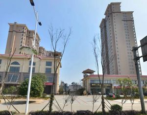 新雅黄金苑4室2厅南北