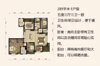 一期2#、5#标准层E户型