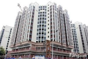 神仙树缤纷1室0厅东南