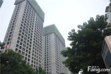 市政府品质天峰兴洛湖音乐喷泉带500㎡大平台