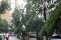 锅炉厂宿舍实景图