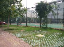 海连新天 3室2厅 南