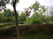 海连新天 2室2厅 南