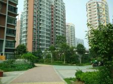 金秋情缘 3室2厅 南 北